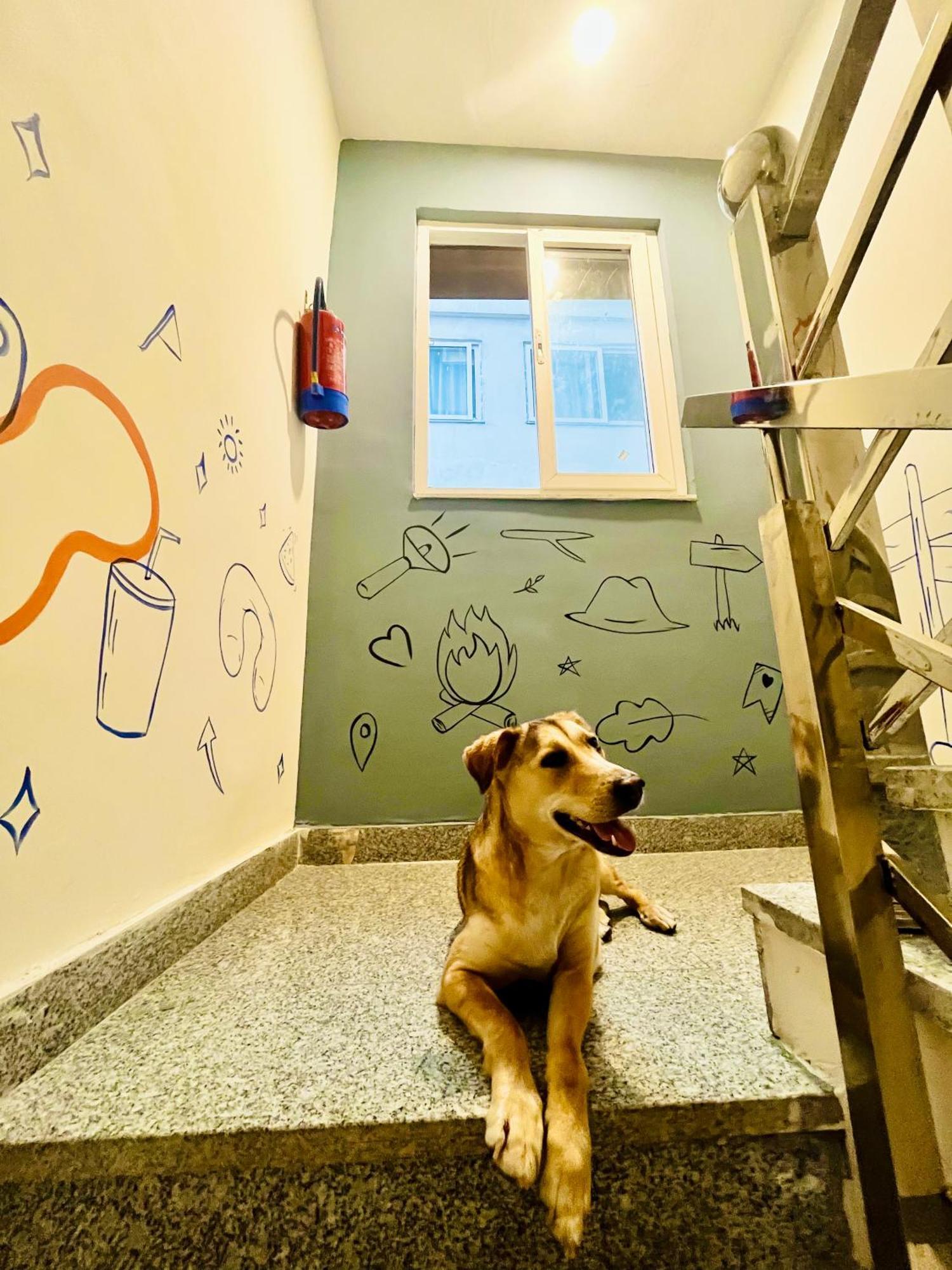 Bonfire Hostels Rishīkesh Zewnętrze zdjęcie